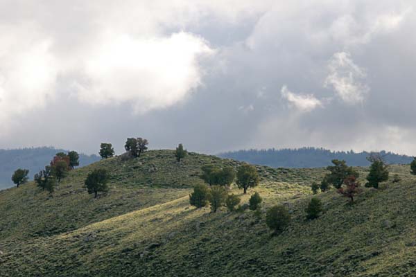 IMG_8740