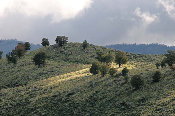 IMG_8743