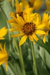 IMG_8659